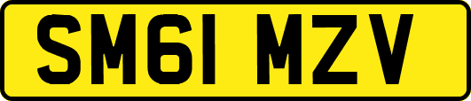 SM61MZV