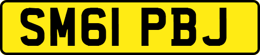SM61PBJ