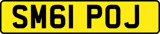 SM61POJ