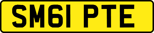 SM61PTE