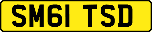 SM61TSD