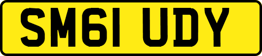 SM61UDY