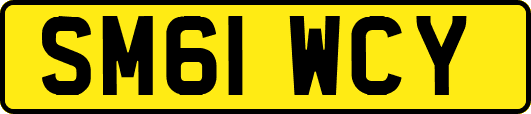 SM61WCY