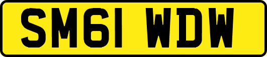 SM61WDW