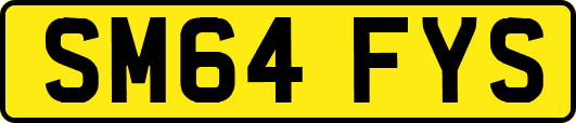 SM64FYS