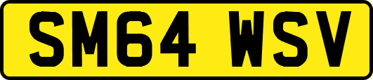 SM64WSV