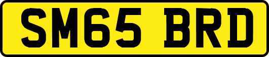 SM65BRD