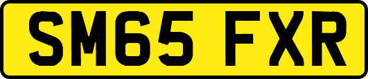 SM65FXR