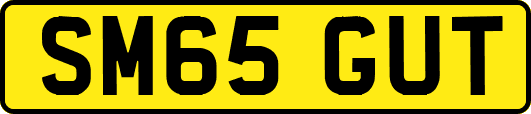 SM65GUT