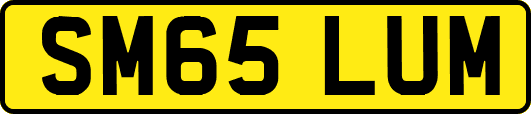 SM65LUM