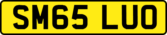 SM65LUO