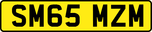 SM65MZM