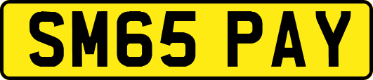 SM65PAY
