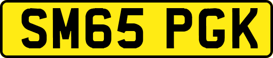 SM65PGK