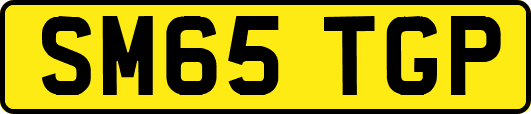 SM65TGP