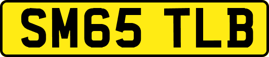 SM65TLB