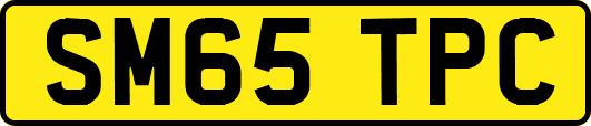 SM65TPC