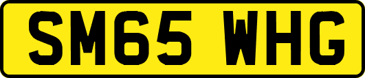 SM65WHG