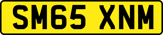SM65XNM