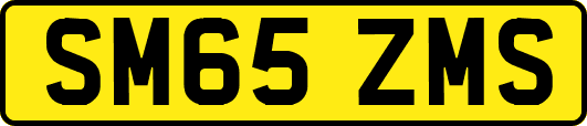 SM65ZMS