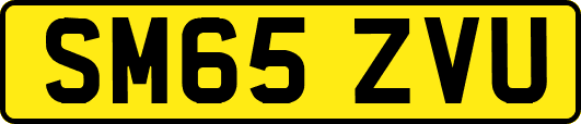 SM65ZVU