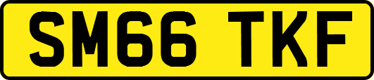 SM66TKF