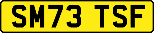 SM73TSF