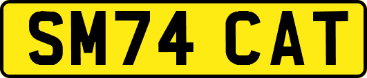 SM74CAT