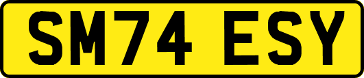 SM74ESY