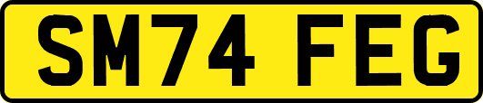 SM74FEG