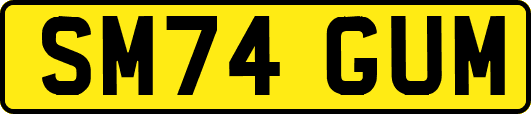 SM74GUM