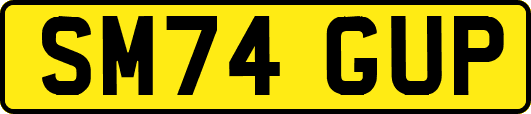 SM74GUP