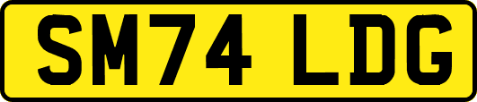 SM74LDG