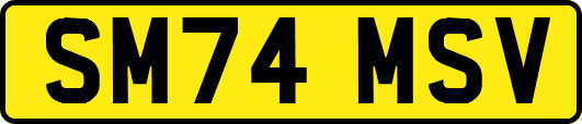 SM74MSV