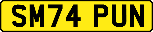SM74PUN