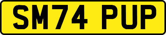 SM74PUP