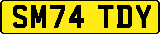 SM74TDY