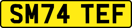 SM74TEF