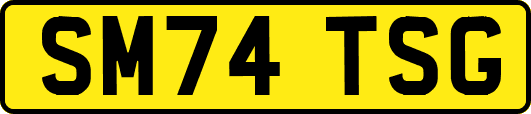 SM74TSG