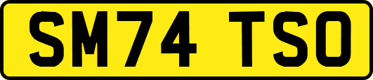 SM74TSO