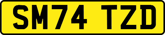 SM74TZD