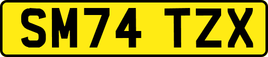 SM74TZX