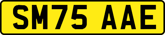 SM75AAE