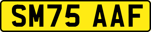 SM75AAF