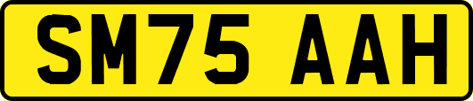 SM75AAH