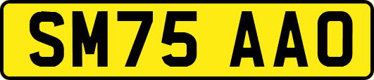 SM75AAO