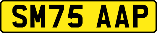 SM75AAP