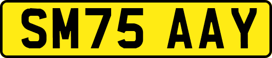 SM75AAY