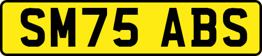 SM75ABS