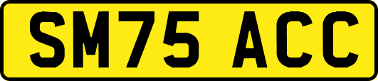 SM75ACC